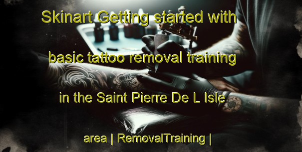 Skinart Getting started with basic tattoo removal training in the Saint Pierre De L Isle area | RemovalTraining | RemovalClasses | SkinartTraining-France